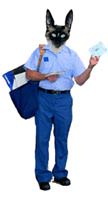 little otrcat postman